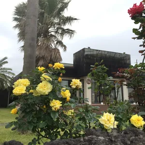 스테이 위드 커피 사진 2