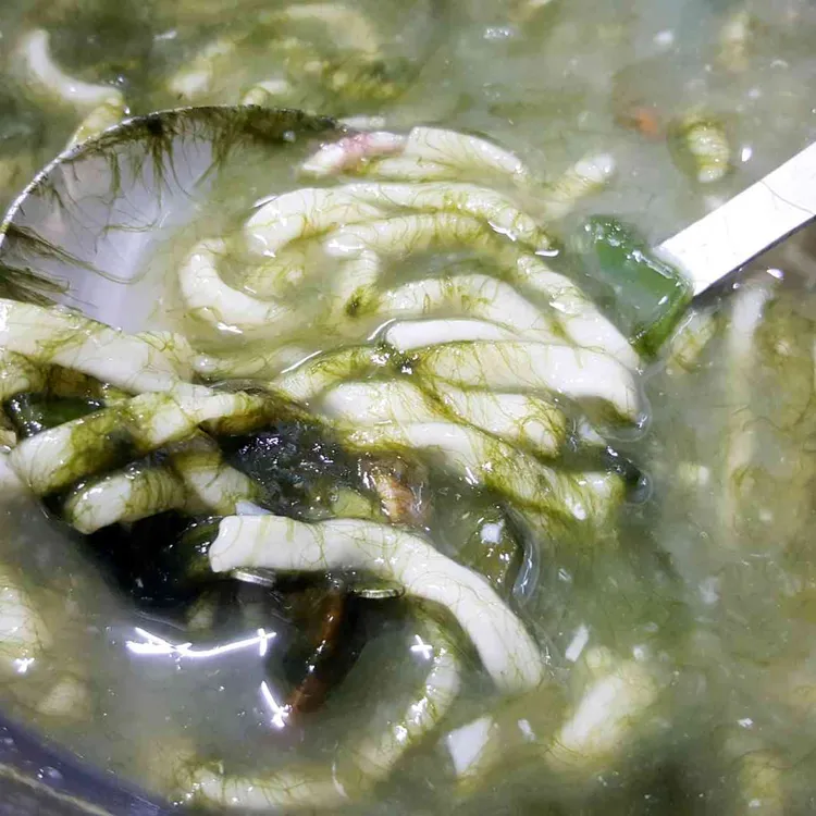 금화정 대표 사진