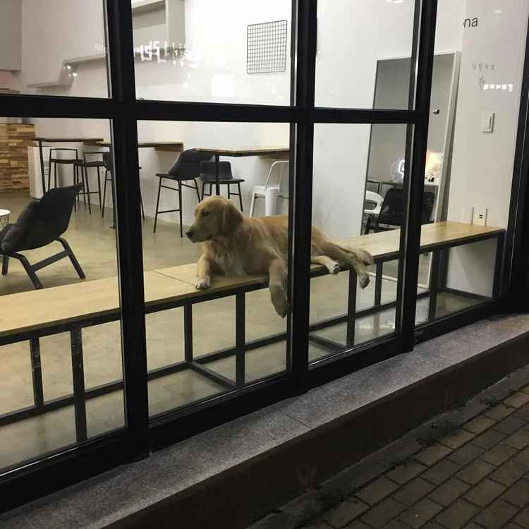 낮달커피 대표 사진