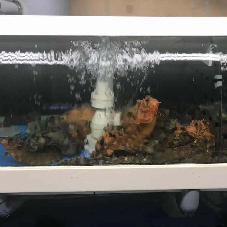 마차회집 대표 사진