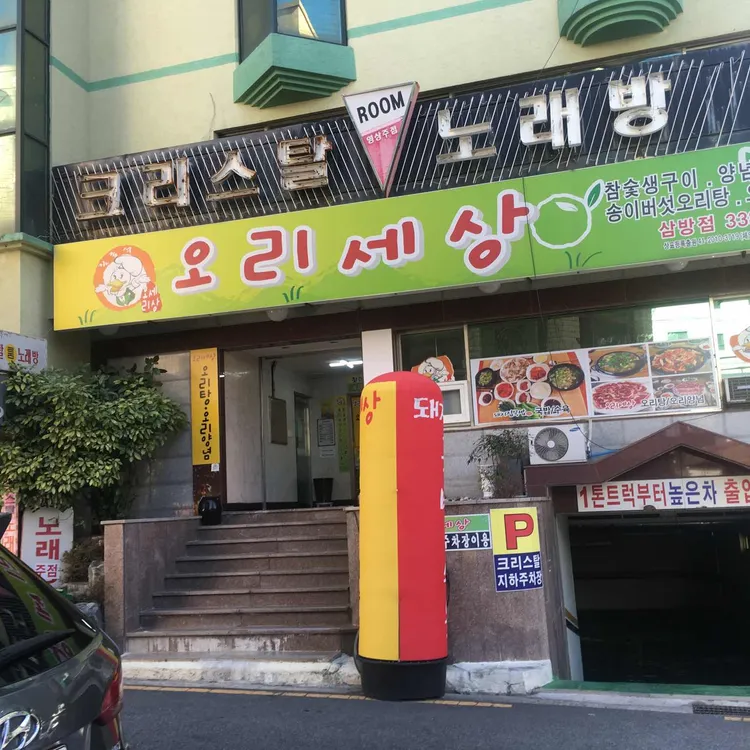 오리세상 대표 사진