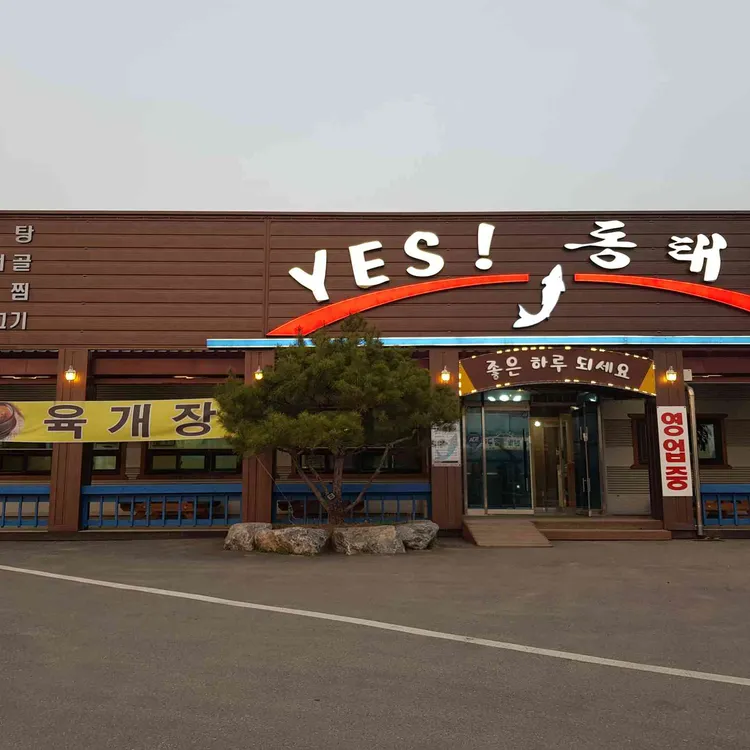 예스 동태랑 대표 사진