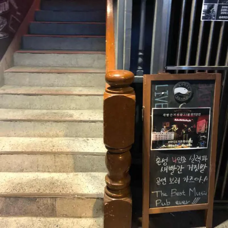 라디오가든 대표 사진