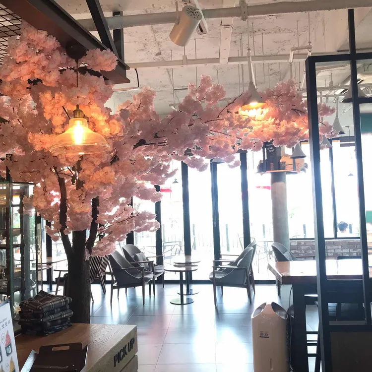 체리블라썸 대표 사진