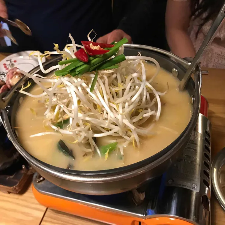 쿠시 대표 사진