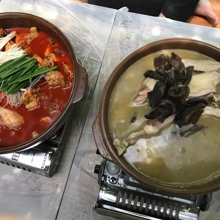 큰곰 대표 사진