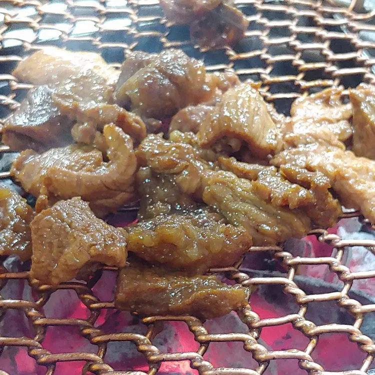 느티나무 대표 사진