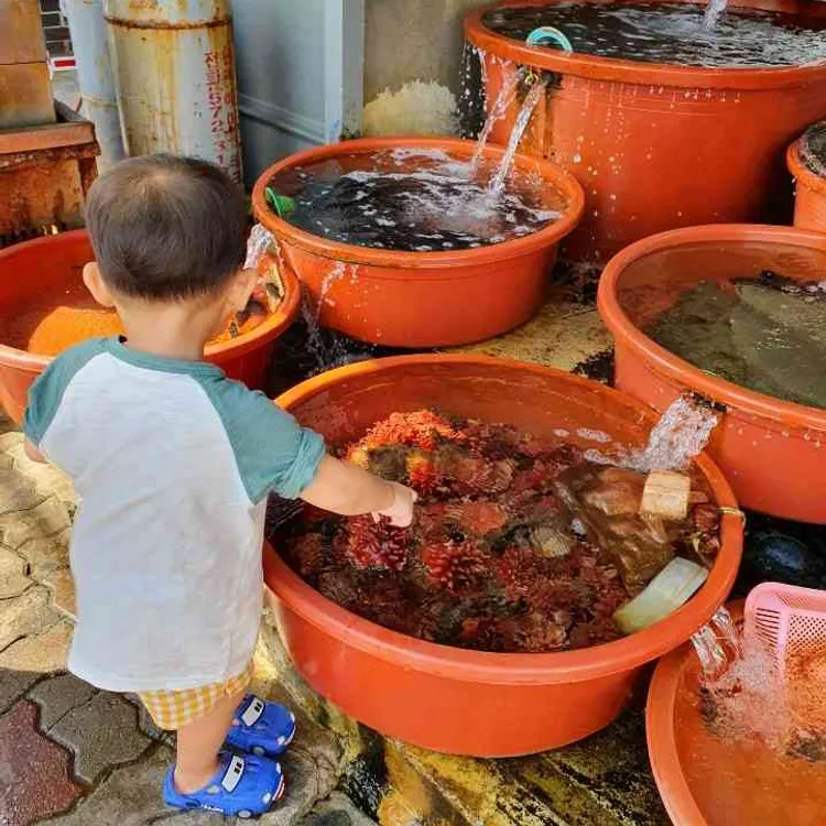 미조리횟집 대표 사진