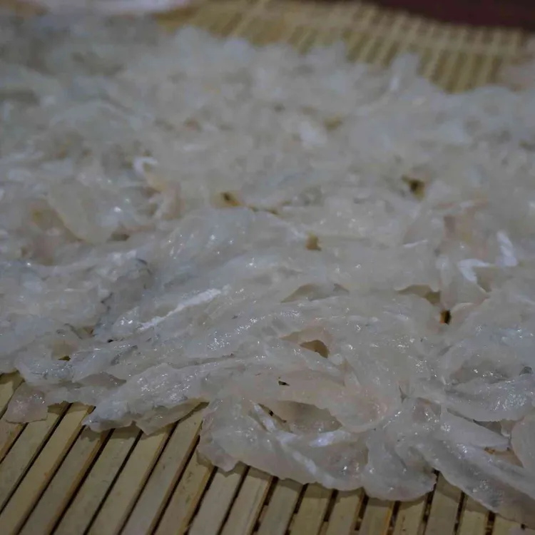 후포항 대표 사진
