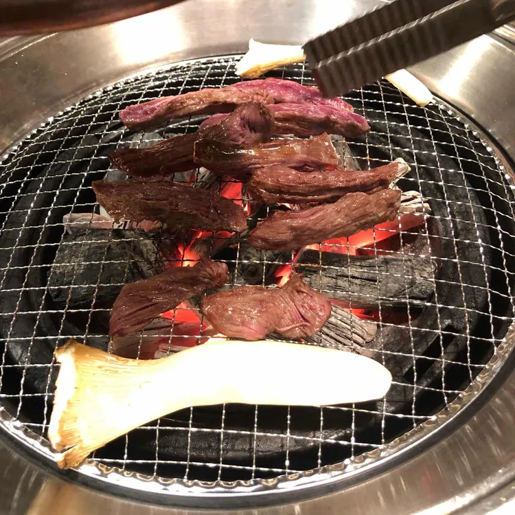 흙향 대표 사진