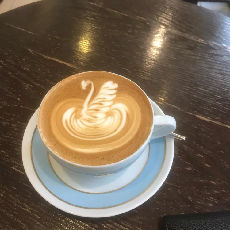 비반트 대표 사진