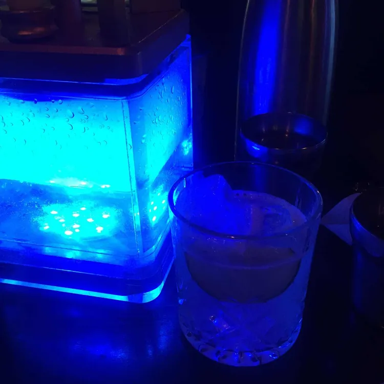 보바베어 대표 사진