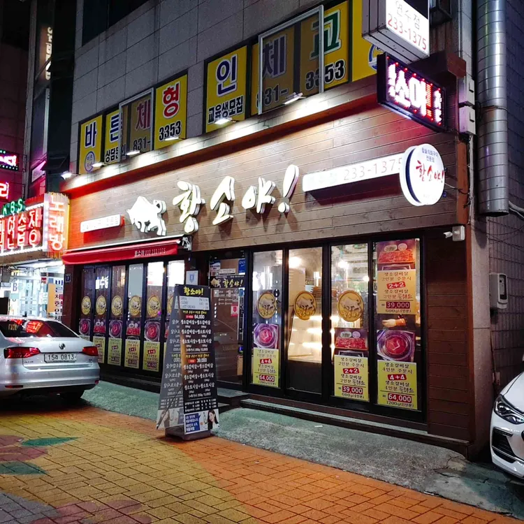 황소야 대표 사진