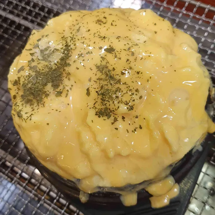 게르 대표 사진