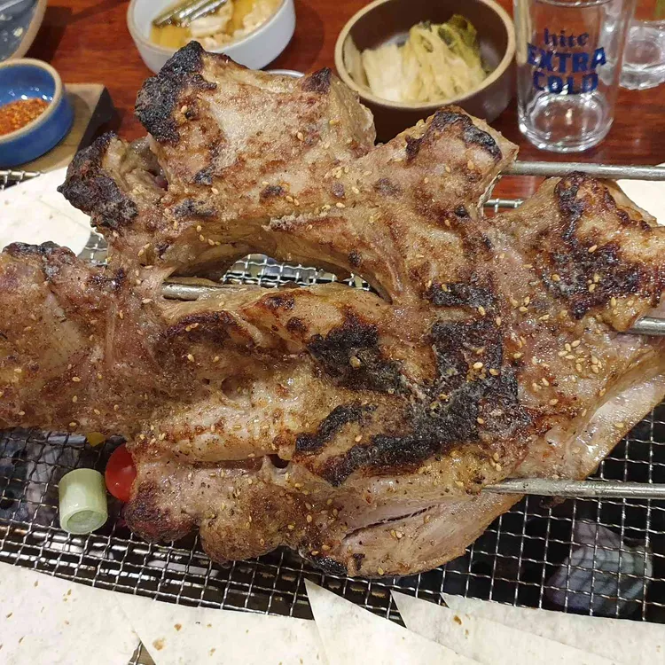 게르 대표 사진