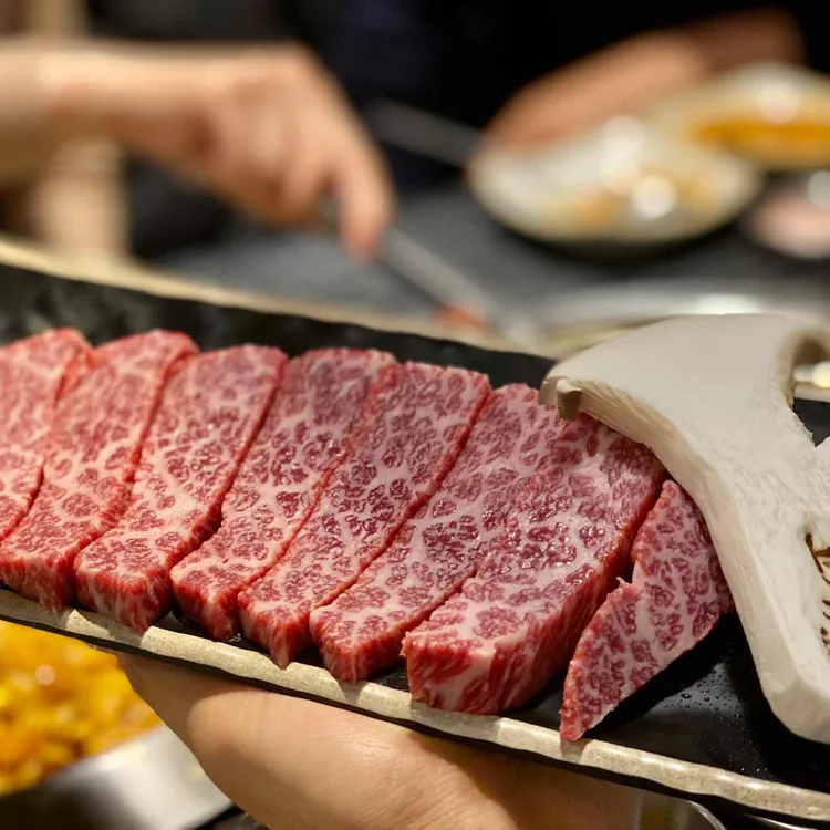 고기원칙  대표 사진