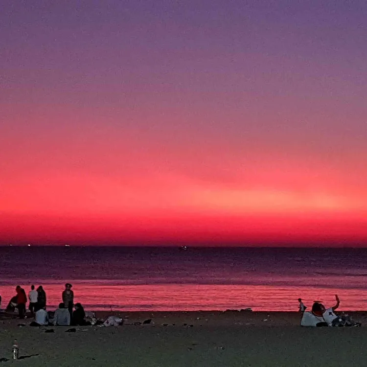 경포팔도강산 대표 사진