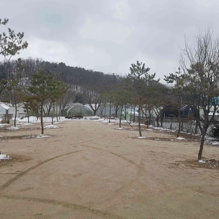 땡스티628 대표 사진