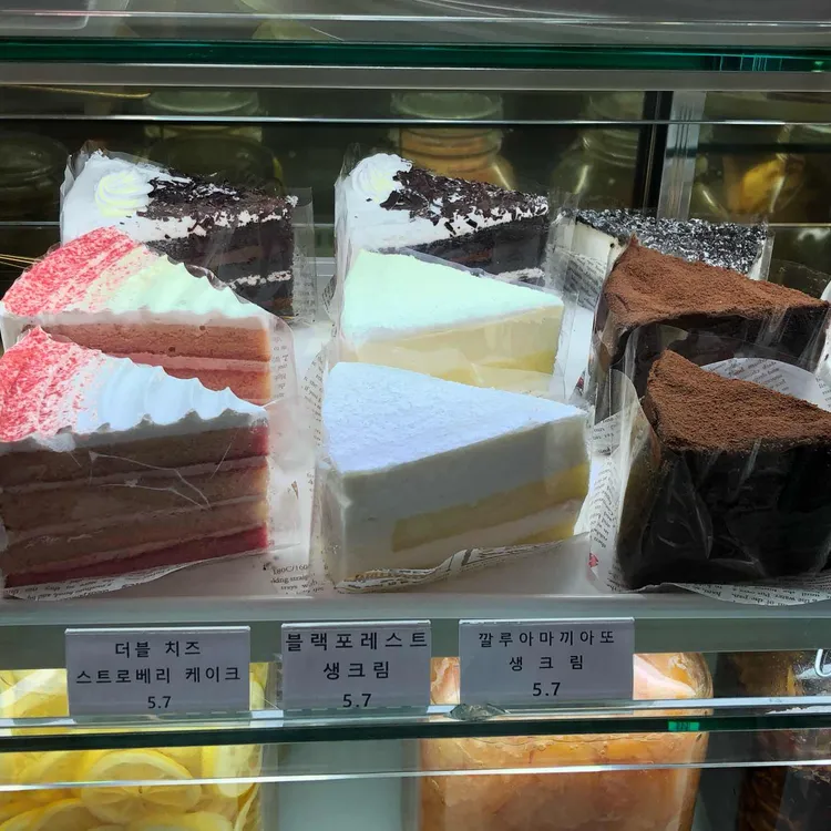 솔트 대표 사진