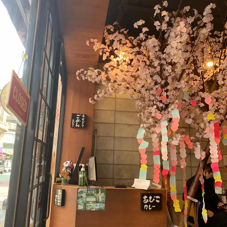 아비꼬 대표 사진