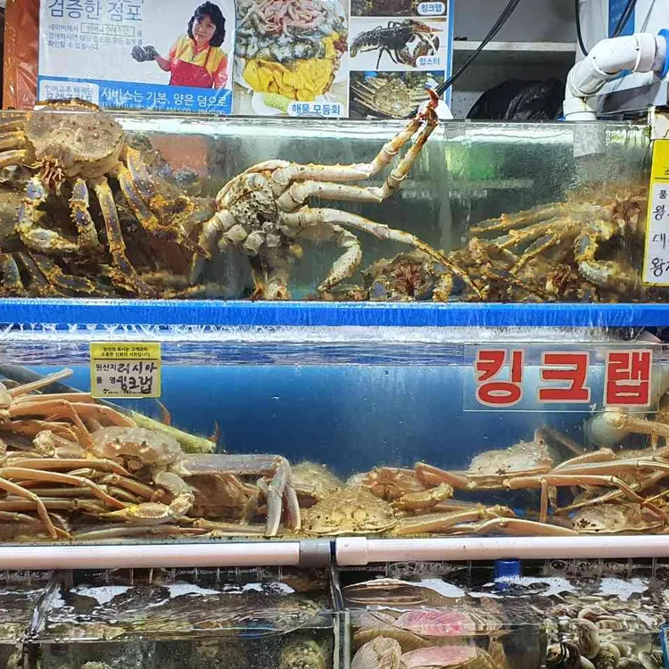 부부전복 - 노량진수산시장 전복, 대게 맛집 | 다이닝코드, 빅데이터 맛집검색