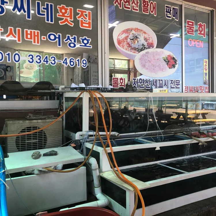양씨네횟집 대표 사진