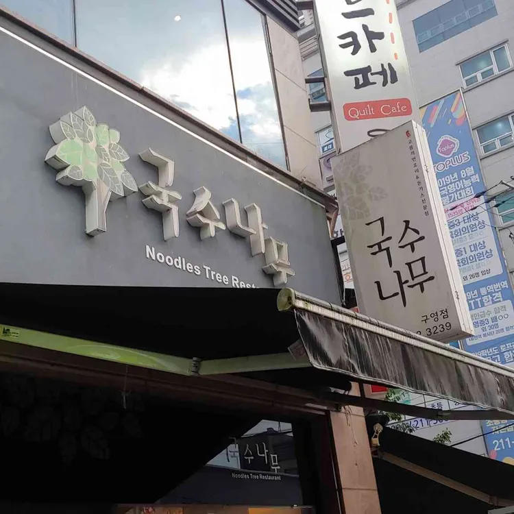 국수나무 대표 사진