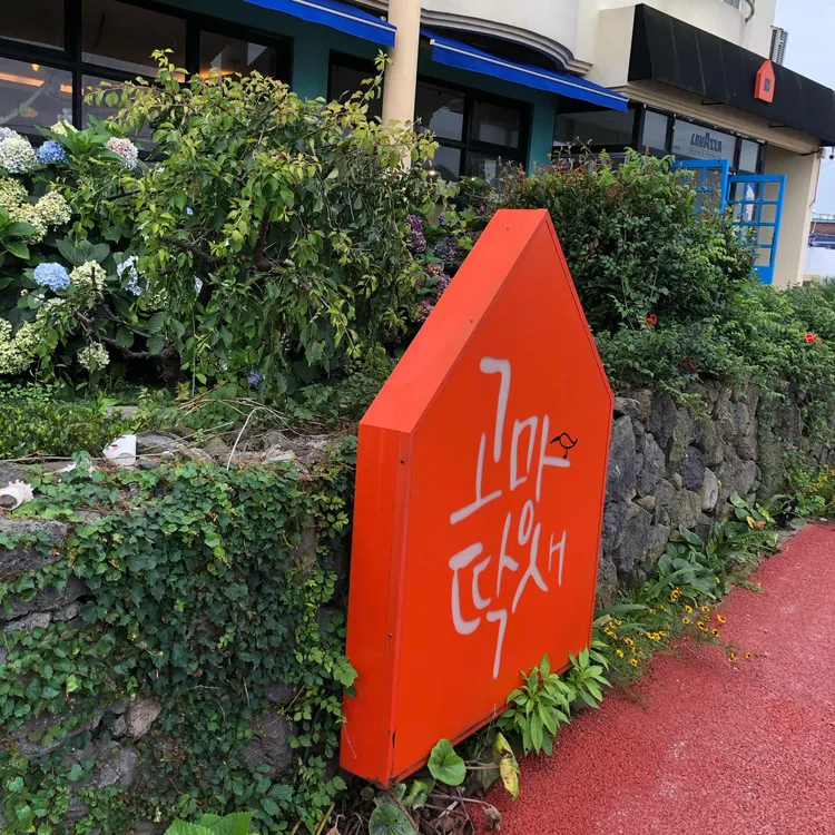 고망딱새 대표 사진