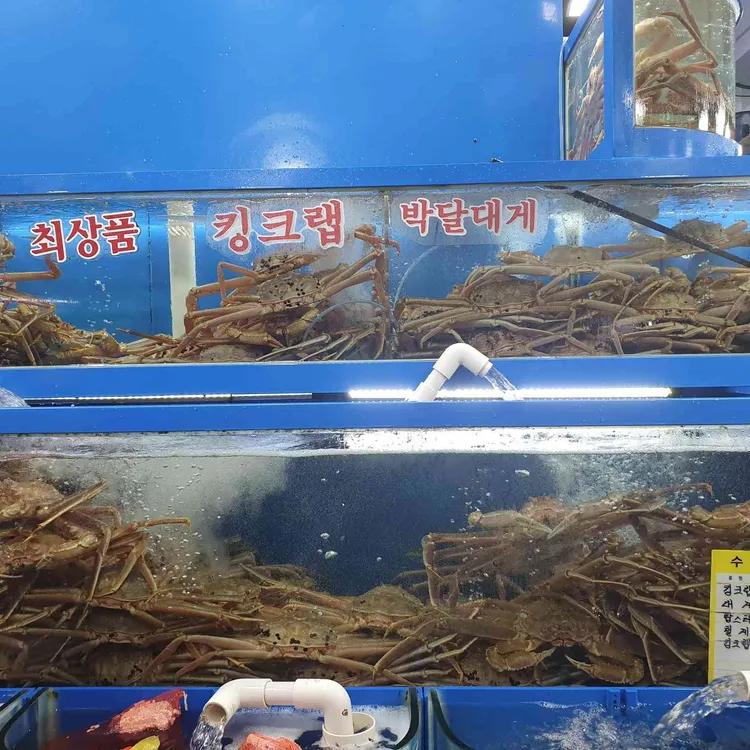 일월수산 대표 사진