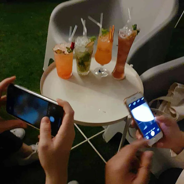 비비드 대표 사진