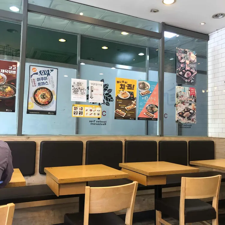 국수나무 대표 사진