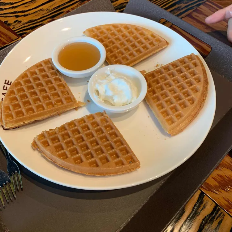 고카페 대표 사진