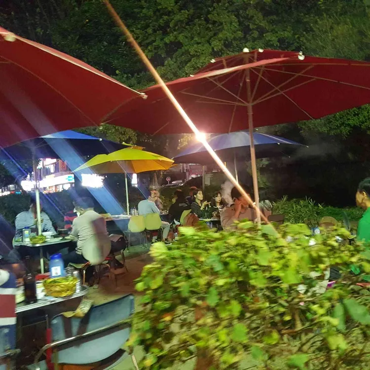 부산갈매기 대표 사진