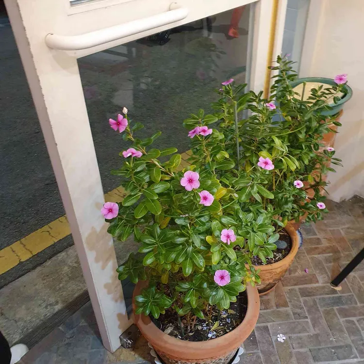 타르트앤 대표 사진