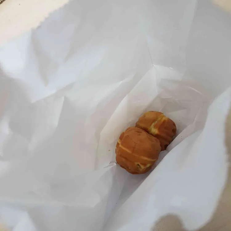 호두붐 대표 사진