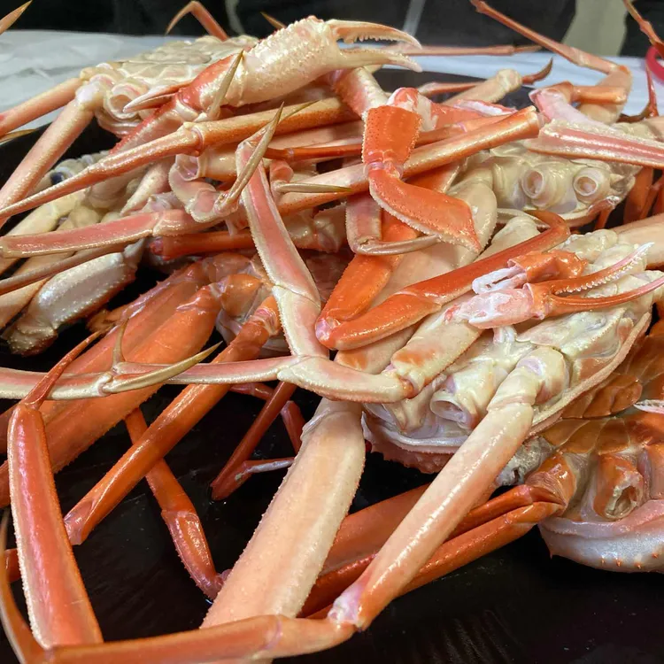 선화네 대표 사진