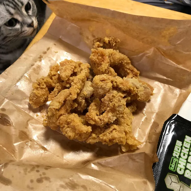 BBQ 대표 사진