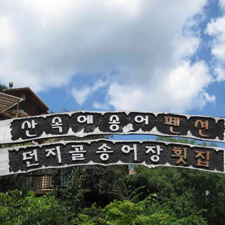 던지골 송어장 횟집 대표 사진