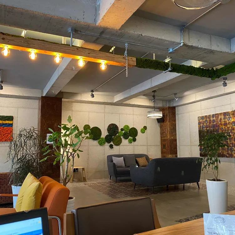 블루커피 대표 사진