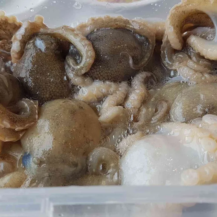 섬덕회센타 대표 사진