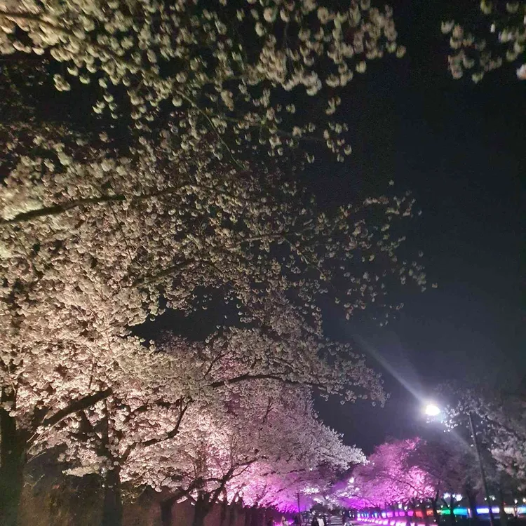 샤브향 대표 사진
