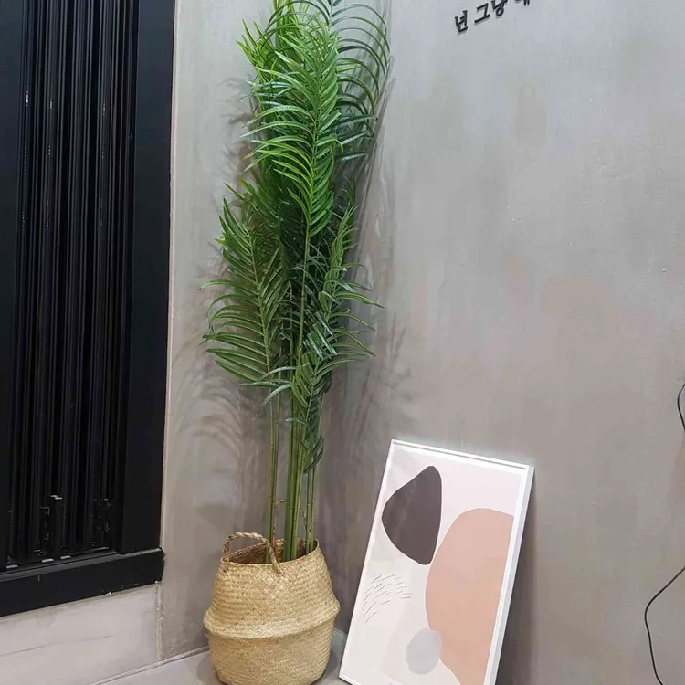마들렛먼로 대표 사진