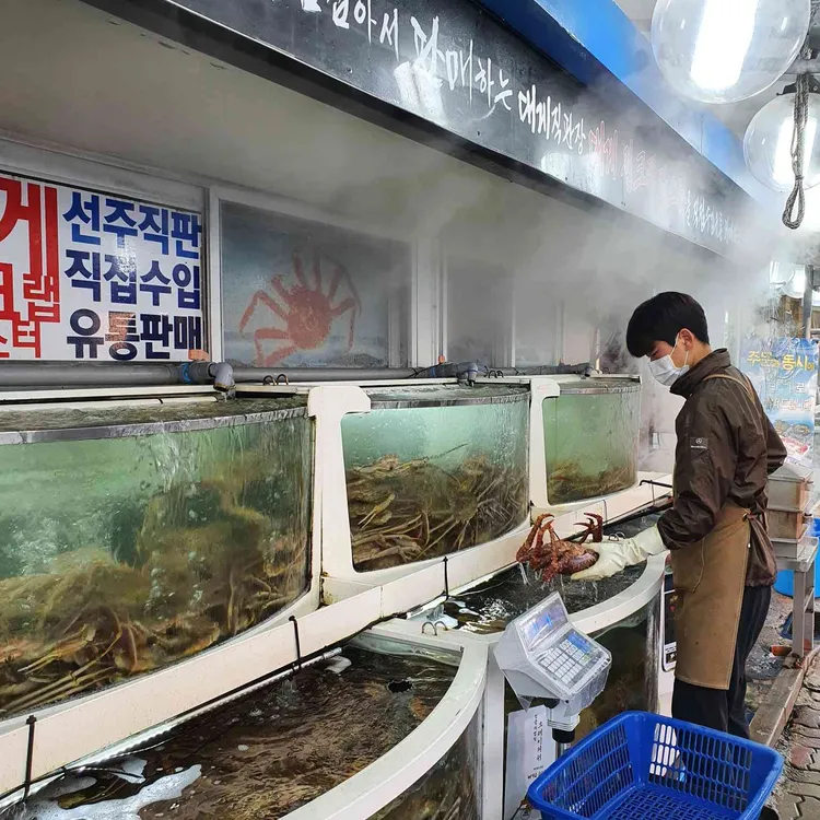 강릉 대게 맛집 대영유통 - AI 딩코의 맛집 공략