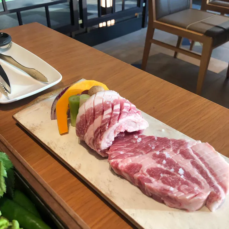 제주 드림타워 녹나무 대표 사진