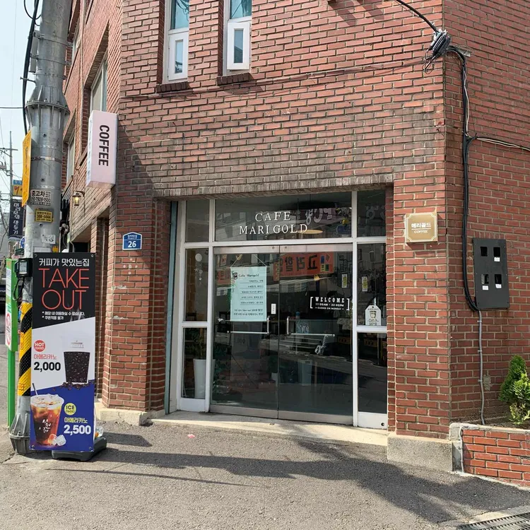 메리골드 대표 사진