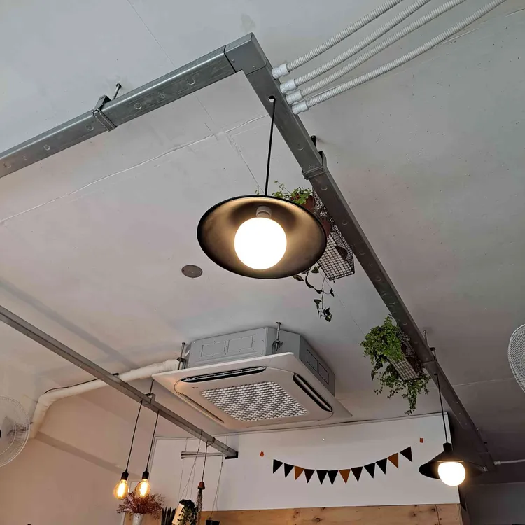 샨샨 대표 사진