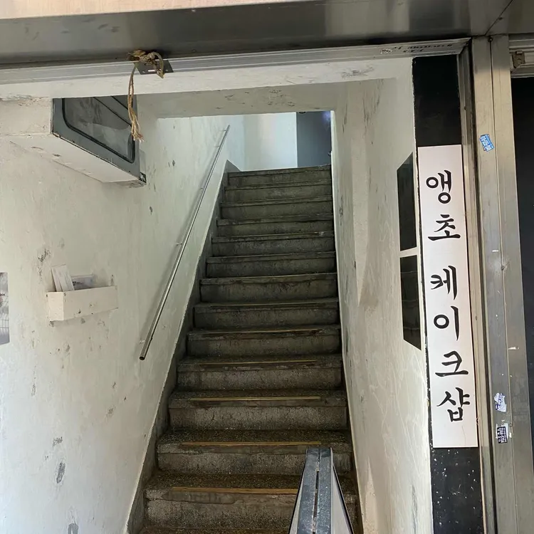 을지로앵초 대표 사진