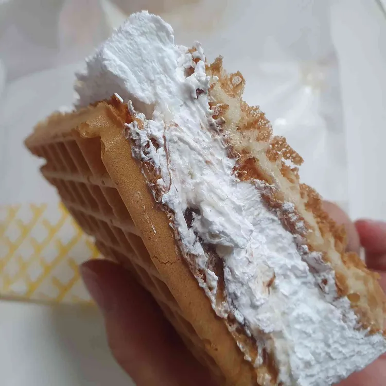 와플대학 대표 사진