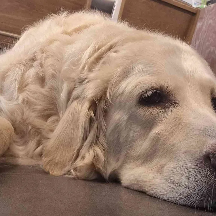 카페허밍 대표 사진