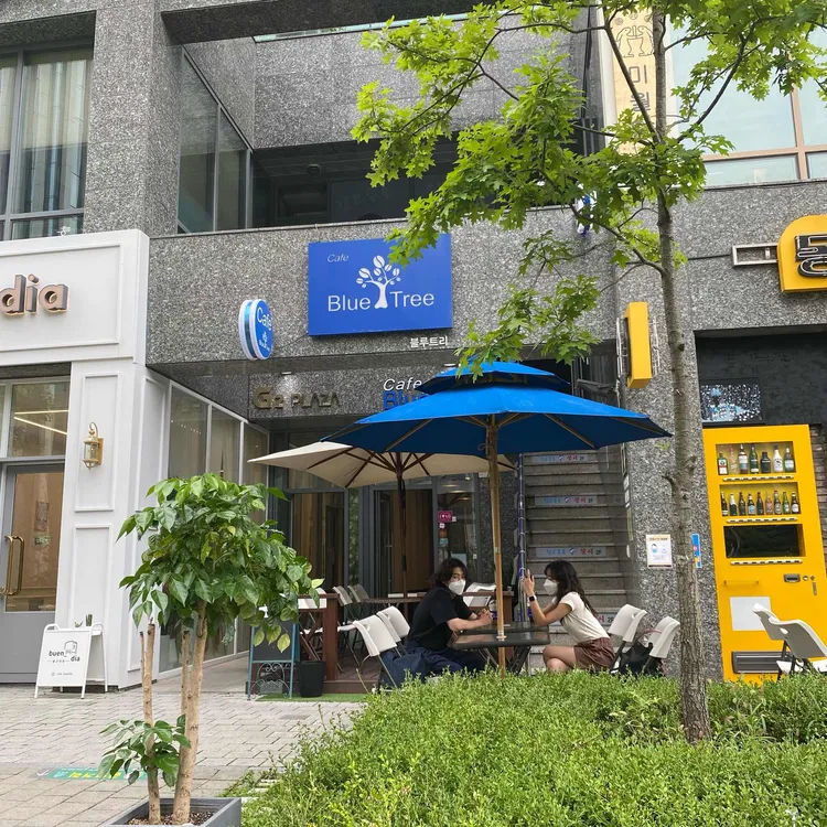블루트리 대표 사진